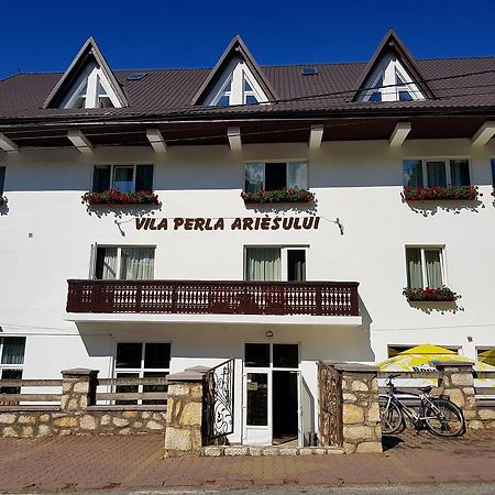 Pensiunea Perla Ariesului Albac Dış mekan fotoğraf