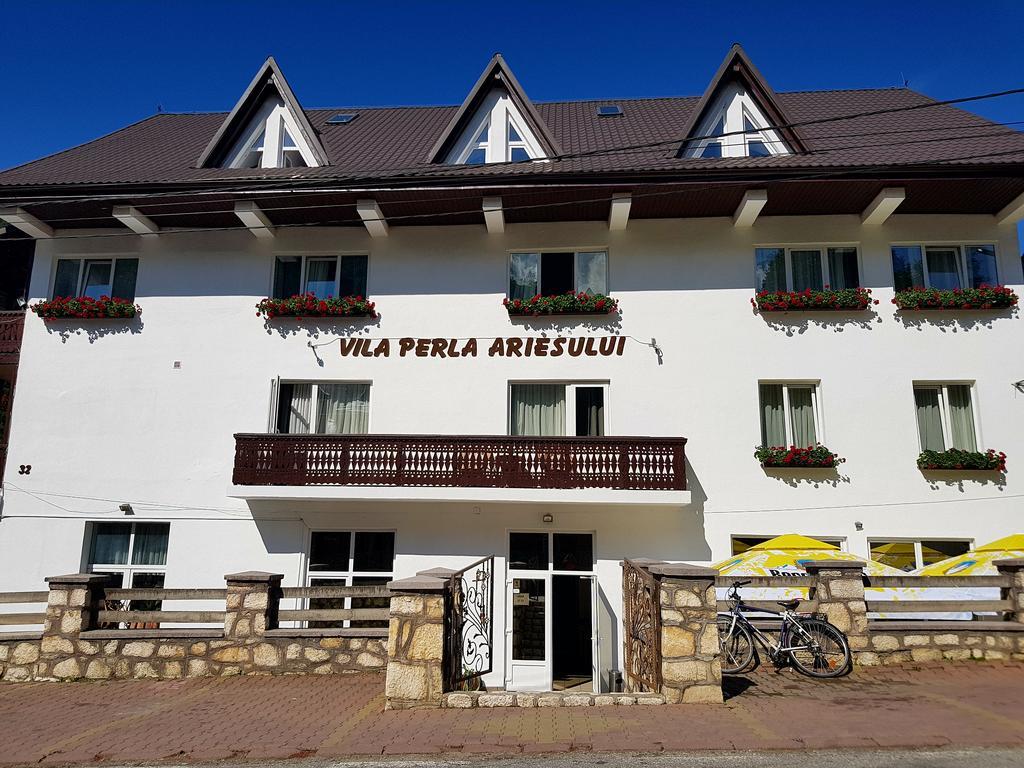 Pensiunea Perla Ariesului Albac Dış mekan fotoğraf